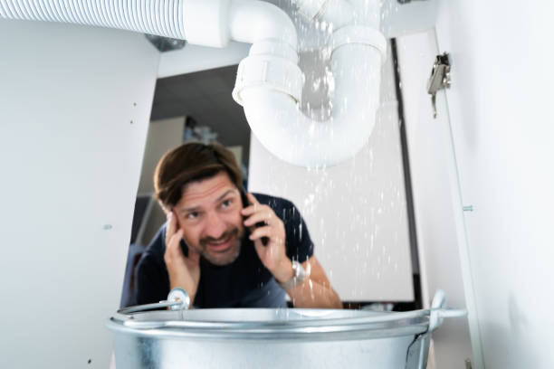 Best Plumbing Inspection Services  in Pecatonica, IL